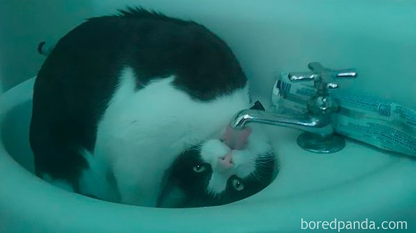 11. "Не буду скрывать, если бы я увидел это в три часа ночи, я бы точно намочил штаны"