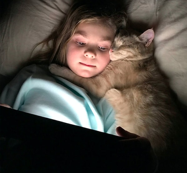 15. "Лучшие друзья"