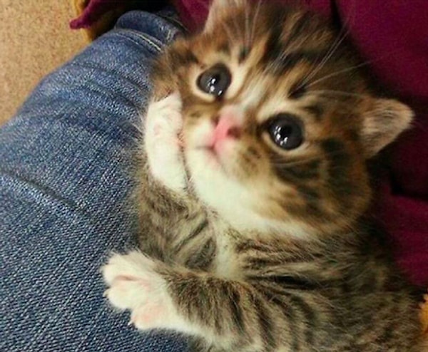 18. "Я внимательно тебя слушаю"