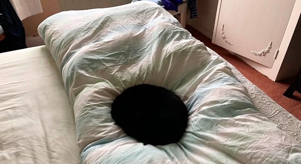 21. "Первая фотография чёрной дыры в спектре видимого света. Горизонт событий отчётливо виден "