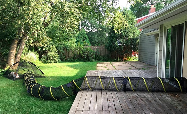 23. "В солнечный день...