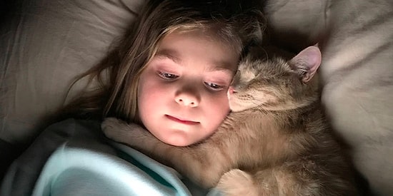 "Без кота и жизнь не та!": 26 фото, о том, как выглядит жизнь, когда у вас есть кошка