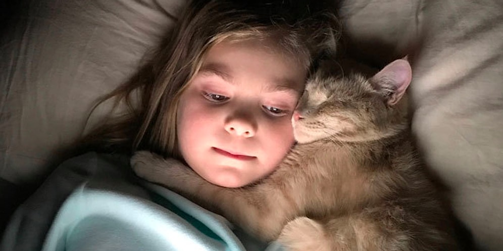 "Без кота и жизнь не та!": 26 фото, о том, как выглядит жизнь, когда у вас есть кошка