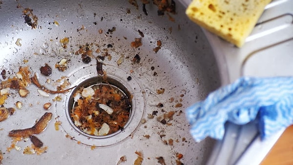 3. Раковина из "Очень странных дел" 😲