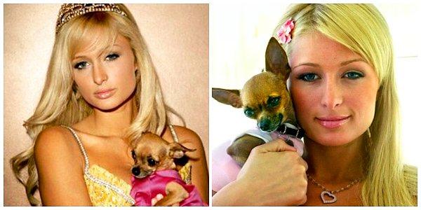 10. Paris Hilton ve köpeği Tinkerbell