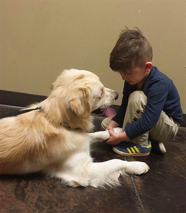 14. "Oğlum, veteriner geri dönmeden önce köpeğimizin moralini yükseltiyor."