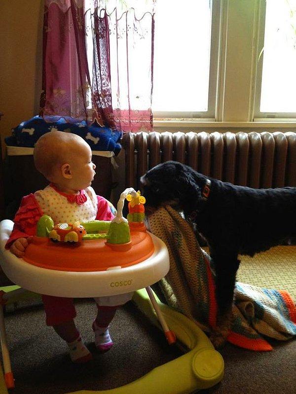 18. "Arkadaşımın köpeği en sevdiği battaniyeyi bebişe hediye ediyor."