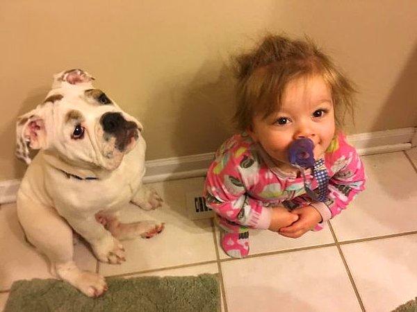 23. "Kızım ve köpüşüm, her sabah ilk kimin poposunu havalandırmada ısıtacağı üzerine tartışıyor. Bu sabah bebek kazandı. Köpek de bu yüzden surat yapıyor."