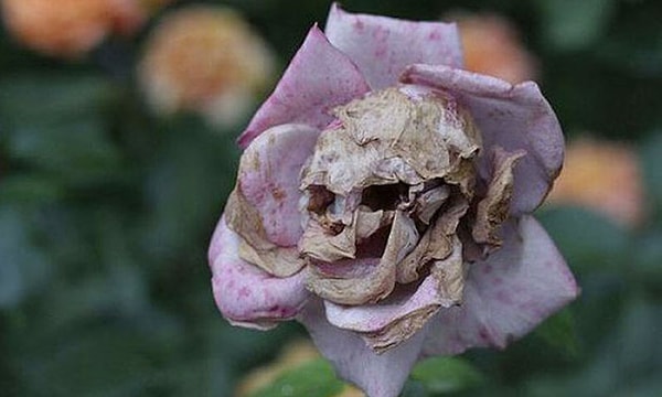 7. Что бросилось вам в глаза первым?