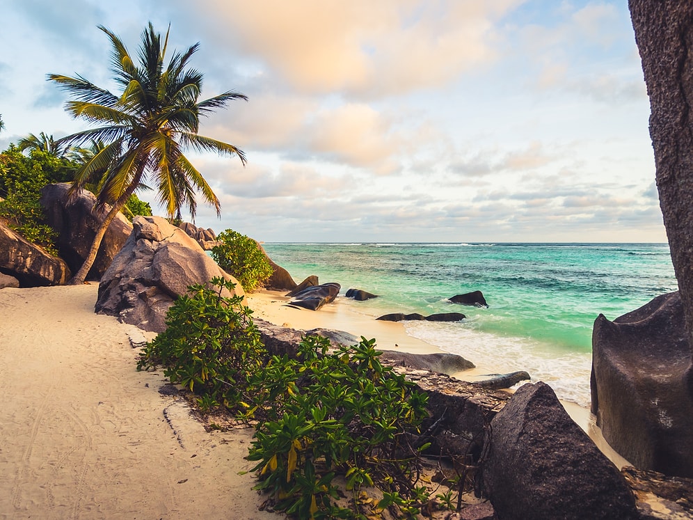 Gerçek Survivor’lar Buraya: Survivor Elemelerini Geçip Adaya Gidebilecek misin?