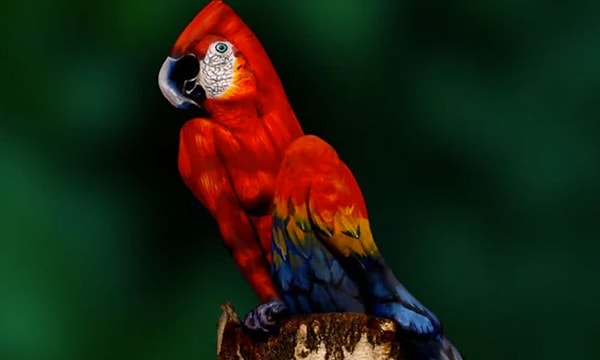 10. Что заметили в первую очередь?