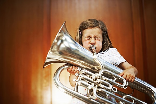 8. К каким музыкальным инструментам относится туба?