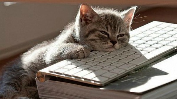 8. Вам может внезапно стать скучно?