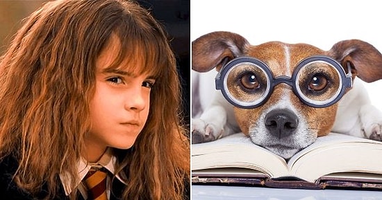 Только абсолютный гений сможет набрать в этом тесте на общие знания больше 10 из 13