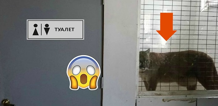 "Что за дичь?!": 18 вызывающих вопросы фото, над которыми вы точно будете смеяться
