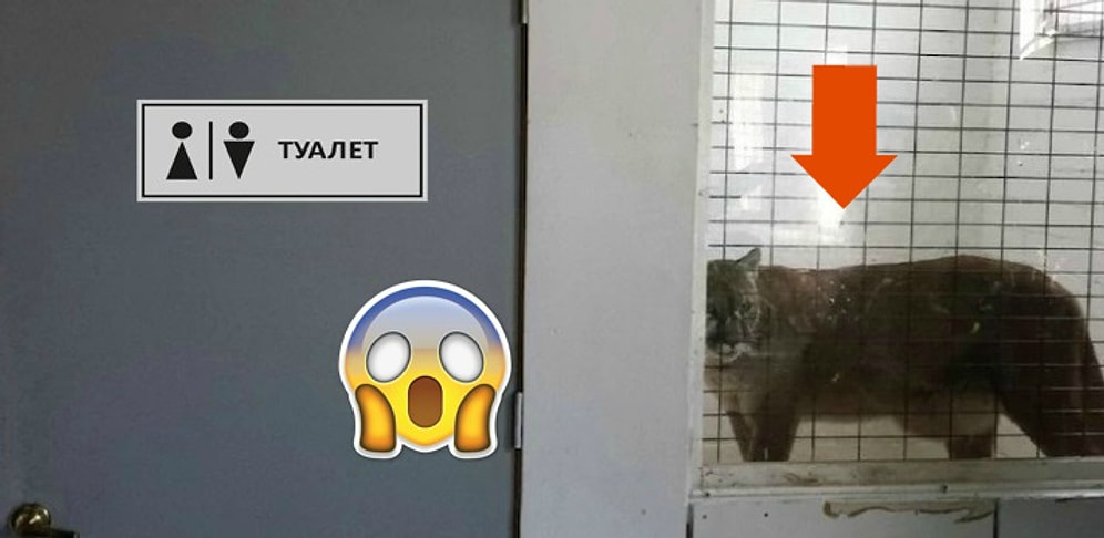 "Что за дичь?!": 18 вызывающих вопросы фото, над которыми вы точно будете смеяться