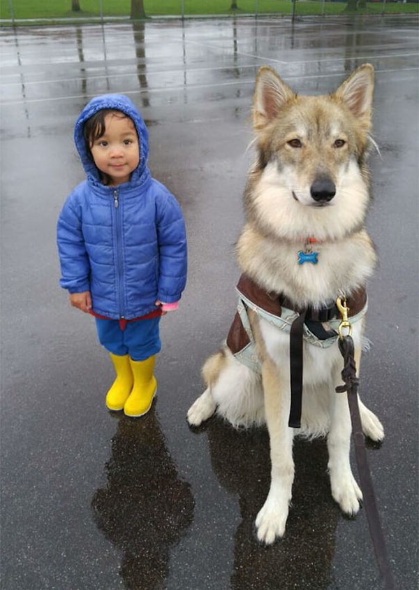 18. "Вам лучше не связываться с моей племянницей"