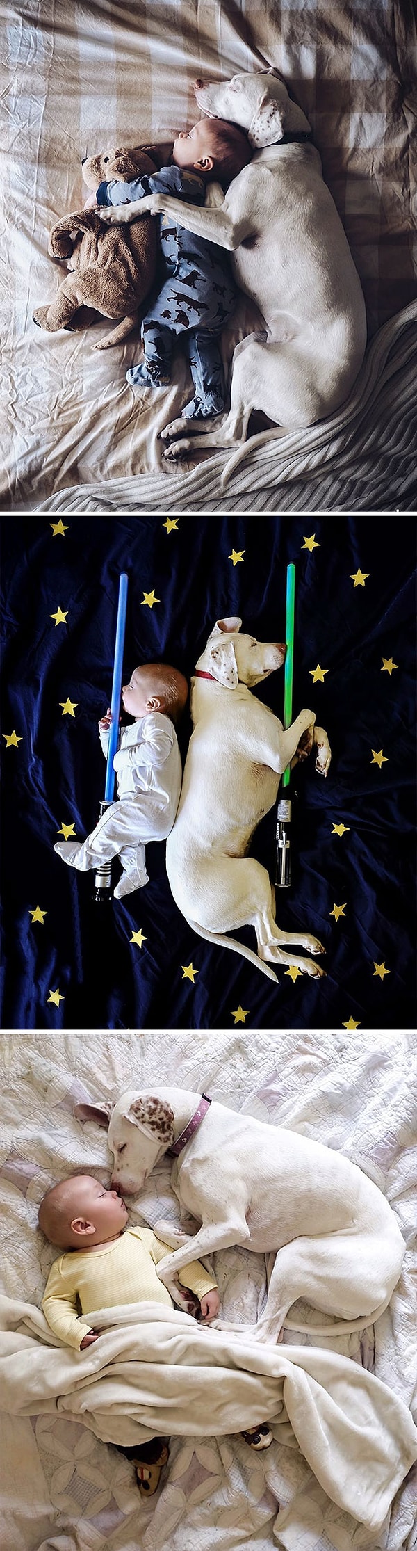 24. "Вместо тысячи плюшевых мишек"