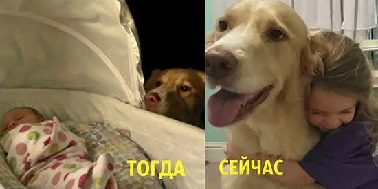 Увидев эти фотографии, вы поймете, что вашим детям просто необходима собачка. А если нет - вы, должно быть, КОТ!