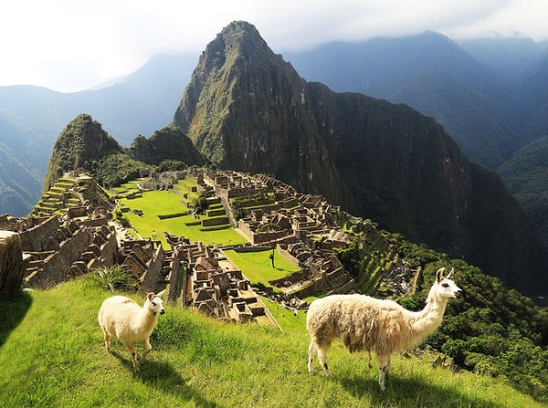 Ты Южная Америка!