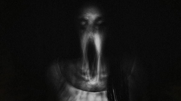 12. Вы верите в приведений?