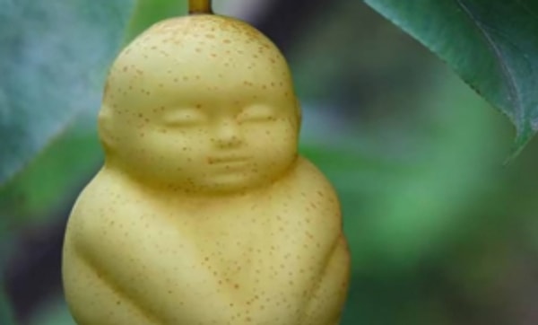 Не угадали!