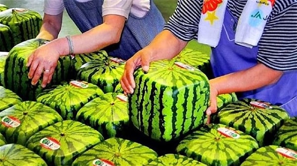 Не угадали!