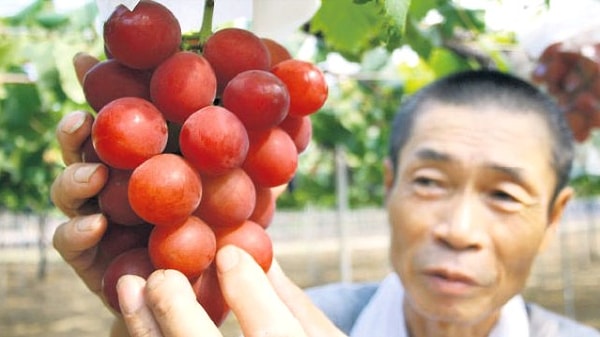 Пробуйте снова!