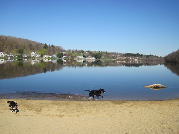 3. Озеро Гарднера, США