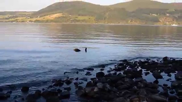 6. Озеро Лох-Несс, Шотландия (Великобритания)