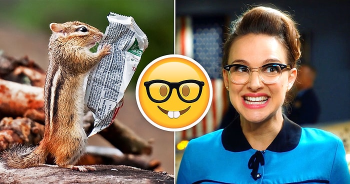 Тест: Если вы не сможете набрать хотя бы 8/11, то как вы вообще закончили школу?!