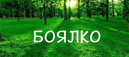 Тест: Если вы наберете в этом тесте 10/10, то ваш мозг работает лучше, чем у 70% населения