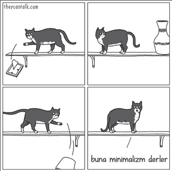 10. Minimalist kedi;