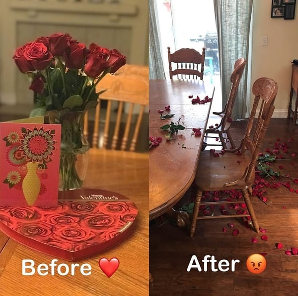 2. Никогда не ставьте цветы в пределе досягаемости детей