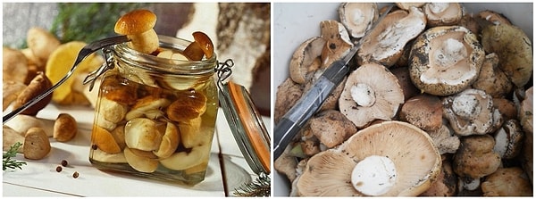 10. Консервированные грибы с червями