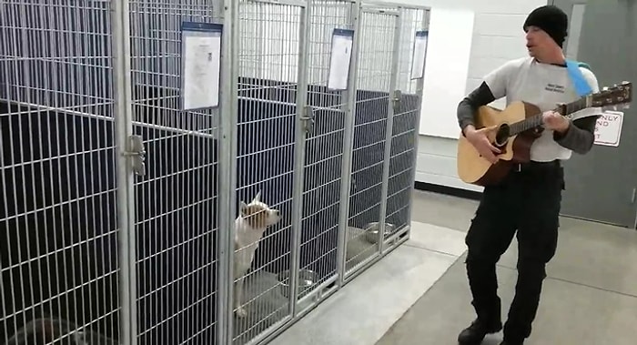 Barınaktaki Hayvanlara Gitar Çalarak Onları Sakinleştiren Muhteşem Adam