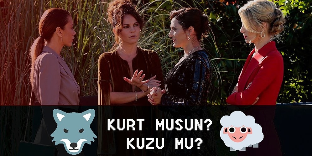 Bir Ufak Tefek Cinayetler Karakteri Olsaydın Kaçıncı Soruda Sarmaşık'tan Elenirdin?