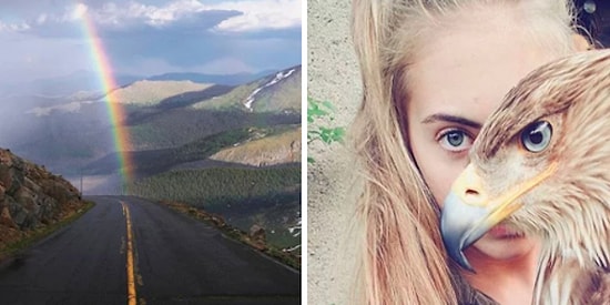 Bir Anda Yaşanan Kusursuz Tesadüfler Sayesinde Ortaya Çıkmış 21 Huzur Veren Görsel