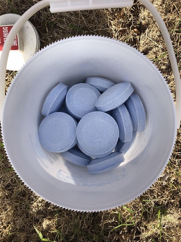 4. Это не мятные конфеты для свежести дыхания, а таблетки хлора для бассейна!