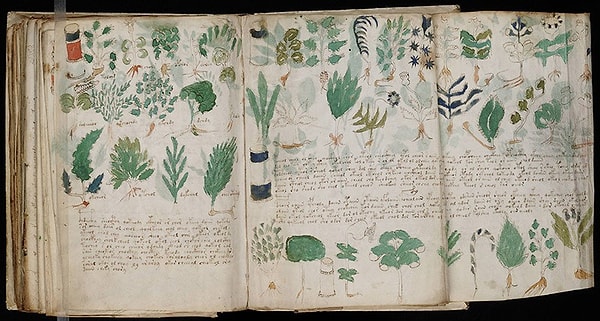 7. Рукопись Войнича