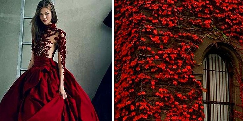 22 коллажа Лили Худяковой, которые помогут найти связь между модой и природой