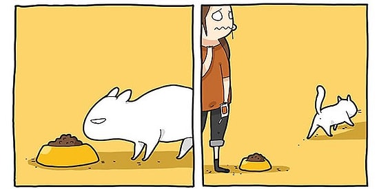 Самые смешные комиксы для тех, кто обожает котэ 😻