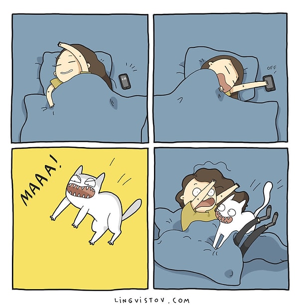 Кошка круче любого будильника!