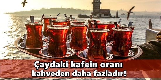 Hüplete Hüplete İçtiğiniz Çay Hakkında Daha Önce Hiç Duymadığınız 15 Gerçek!