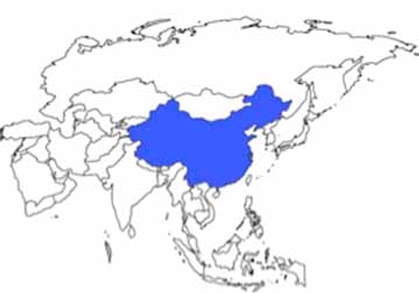 6. Какая страна выделена на карте?