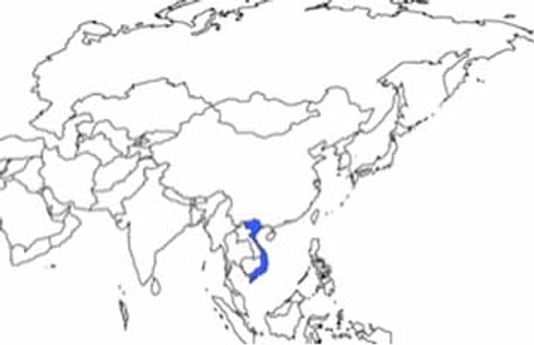 8. Какая страна выделена на карте?