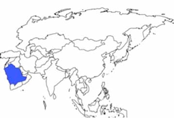 9. Какая страна выделена на карте?