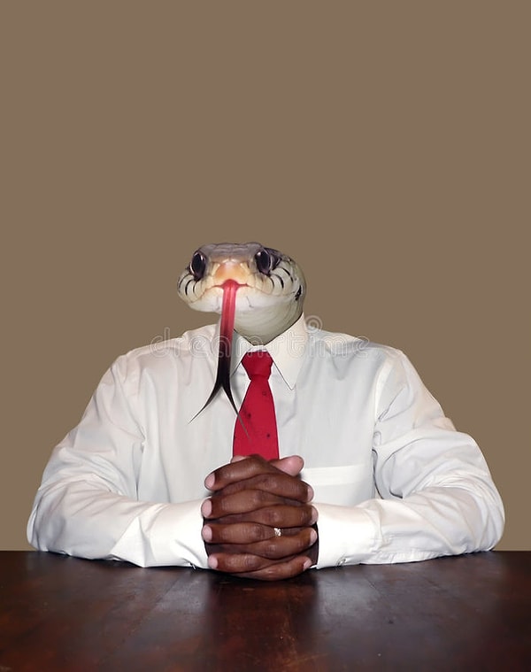 22. Что уставились? Просто афроамериканская змея проходит собеседование