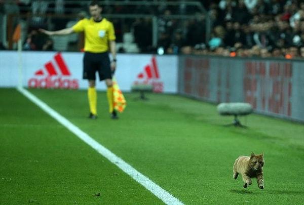 Daily Mail: 'Kedinin girişi sahada baskın olan Bayern karşısında Türk takıma biraz olsun nefes aldırdı.'