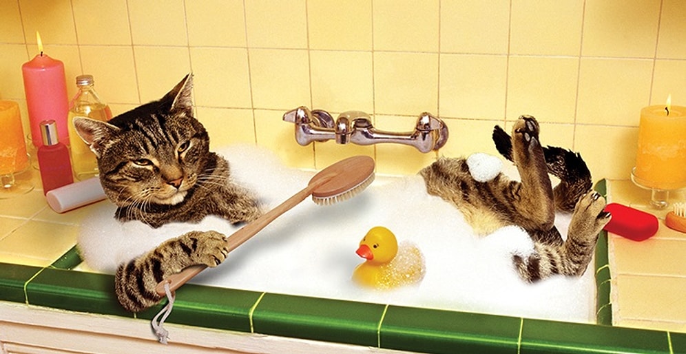 «Не хочешь заниматься спортом? Полежи в горячей ванне!»: новое исследование ученых